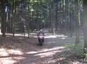 Vorheriges Bild