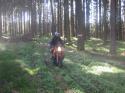 Vorheriges Bild
