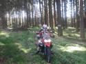 Vorheriges Bild