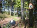 Vorheriges Bild