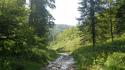 Vorheriges Bild