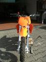 Vorheriges Bild