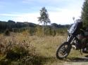 Vorheriges Bild