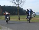 Vorheriges Bild