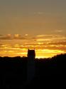 Vorheriges Bild