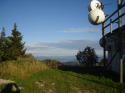 Vorheriges Bild