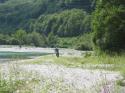 Vorheriges Bild