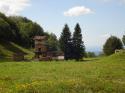 Vorheriges Bild