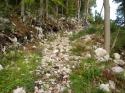 Vorheriges Bild