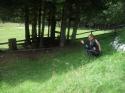 Vorheriges Bild