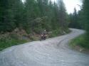 Vorheriges Bild