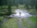 Nchstes Bild