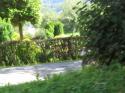 Vorheriges Bild