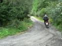 Vorheriges Bild