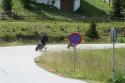 Vorheriges Bild