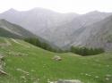 Vorheriges Bild