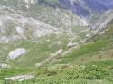Vorheriges Bild