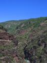 20060623-140354-PF.JPG
