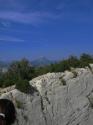 Vorheriges Bild