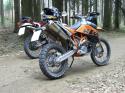 Vorheriges Bild