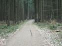 Vorheriges Bild