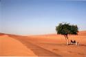 Vorheriges Bild
