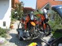Vorheriges Bild