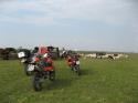 20070428-163118-ME.JPG