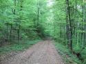 Vorheriges Bild