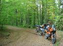 Vorheriges Bild