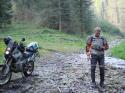 Vorheriges Bild