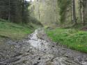 Vorheriges Bild