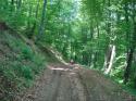 Vorheriges Bild
