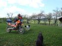 Nchstes Bild