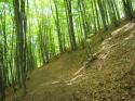 20070430-133322-MF.JPG