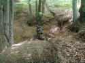 Nchstes Bild