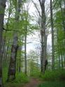 20070430-145806-MF.JPG