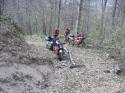 Vorheriges Bild