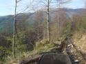 Nchstes Bild