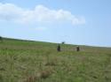 20070502-133530-MF.JPG