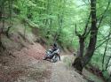 Vorheriges Bild