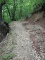 Vorheriges Bild