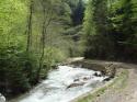 Vorheriges Bild