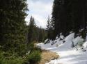 Vorheriges Bild