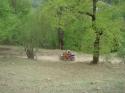 Vorheriges Bild