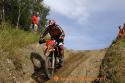 Vorheriges Bild