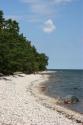 Kiesstrand am Finnischen Meerbusen