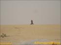 StarWars - Chott El Jerid - 043