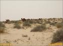 StarWars - Chott El Jerid - 061