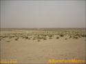 StarWars - Chott El Jerid - 063